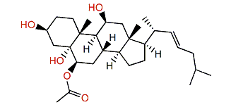 (22E)-6b-Acetoxycholest-22-en-3b,5a,11b-triol